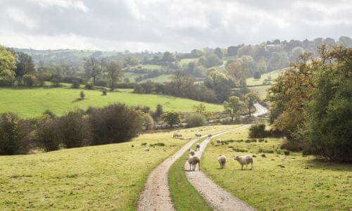 The Archers Returns To Radio 4 With Ambridge Under Lockdown The Archers The Guardian The Archers Returns To Radio 4 With Ambridge Under Lockdown The Archers The Guardian