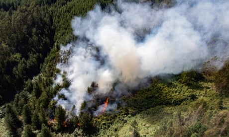 Aerial view of smoke billowing from a forest fire in Nemocon, Colombia last month
