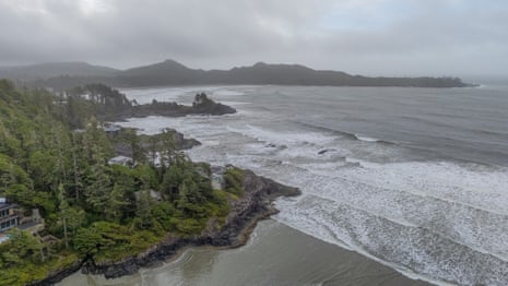 A tree-filled rocky shore next to the sea
