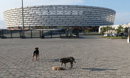 Dogs outside the Baku Olympic Stadium.