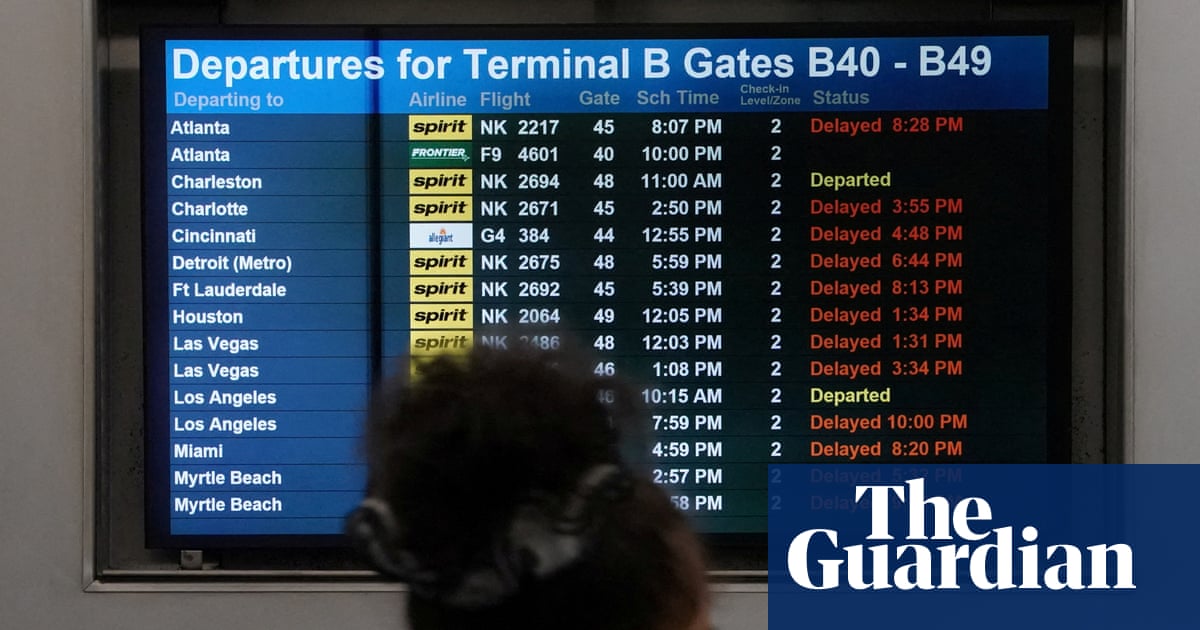 It’s all gravy: Thanksgiving air traffic to be normal after US government reopens