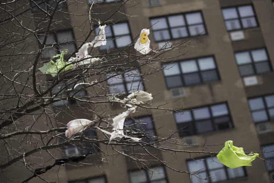 Plastic bags tangled in the branches of a tree in New York City’s East Village neighbourhood.