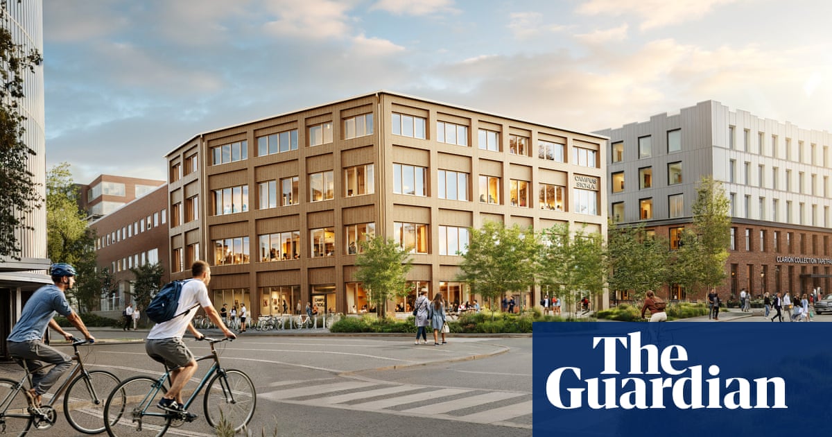 It shapes the whole experience': what happens when you build a city from wood?