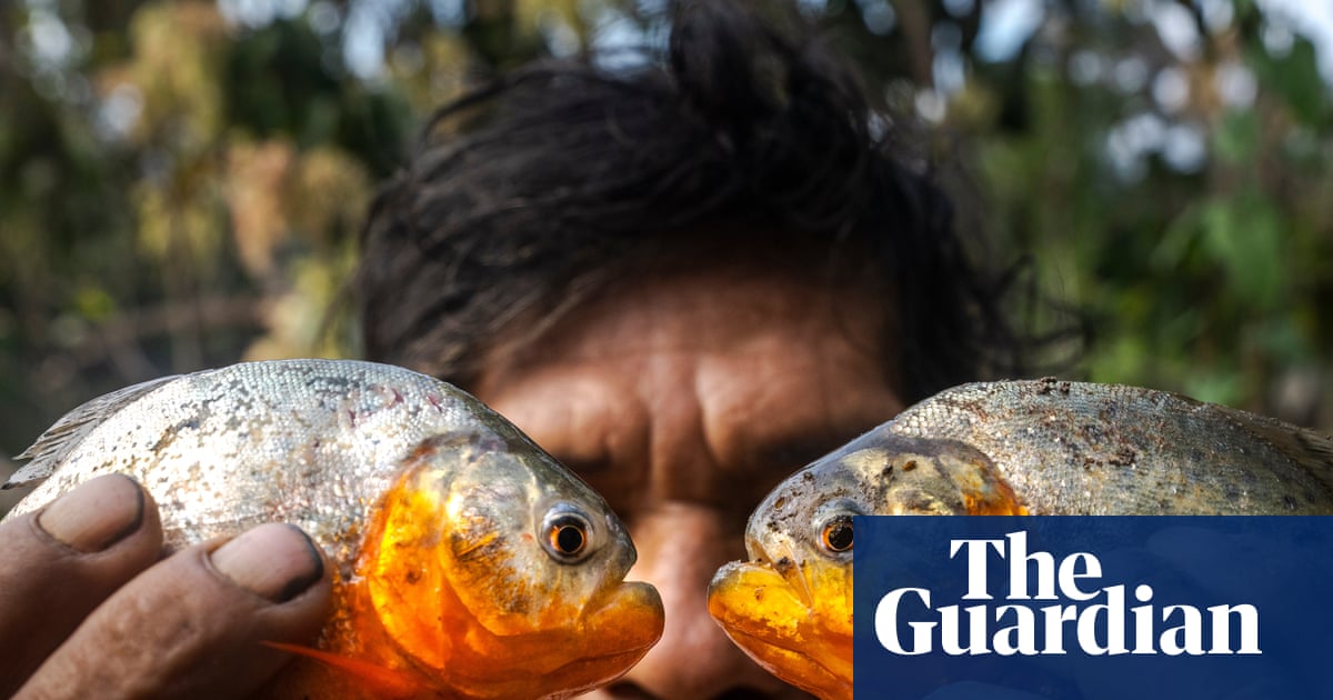 Invisible poison: living with mercury pollution in the Colombian Amazon
