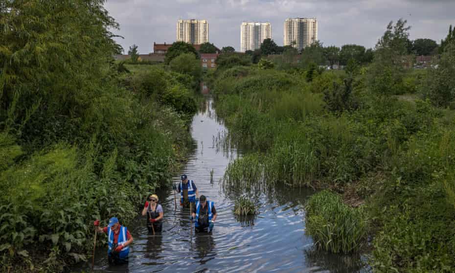 Volunteers clean up a tributary of the River Lea in Enfield.