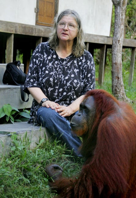 Galdikas at Camp Leakey in Central Kalimantan, Borneo, in 2005.