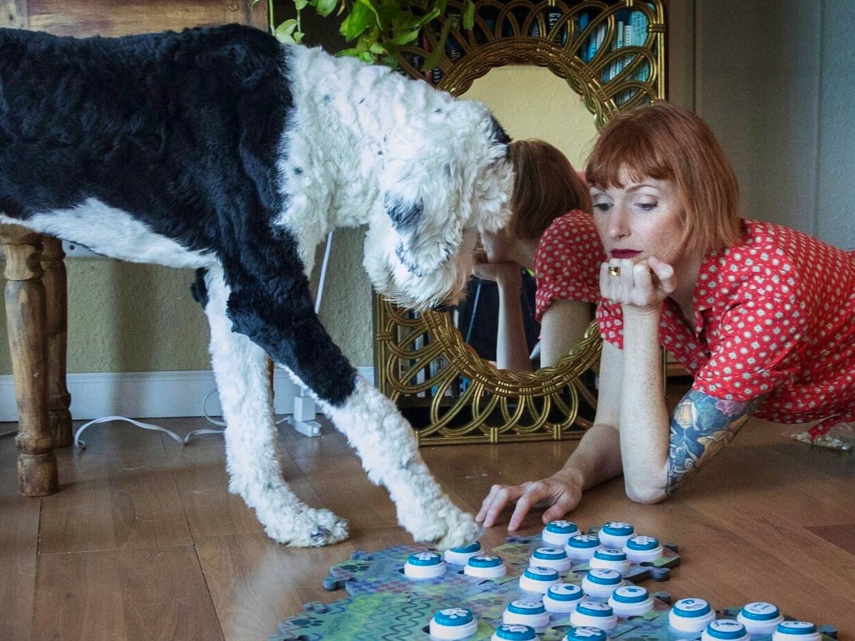 Bored These Americans Are Teaching Their Dogs To Talk Dogs The Guardian Bored These Americans Are Teaching Their Dogs To Talk Dogs The Guardian