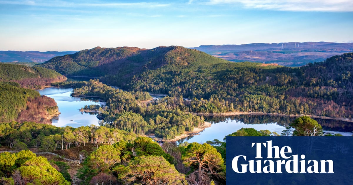 Vast area of Scottish Highlands to be rewilded in ambitious 30-year project