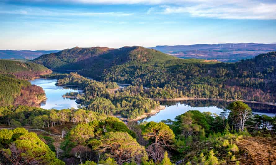 Glen Affric