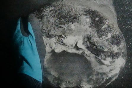 Underwater view of a diver as he discovers a cannon