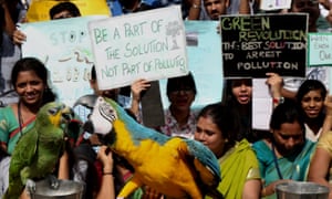 Indian students hold placards and shouts slogans on World Environment Day, in Bangalore, India, 5 June 2017.