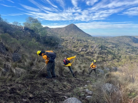 Firefighters clear brush against a mountainous backdrop.