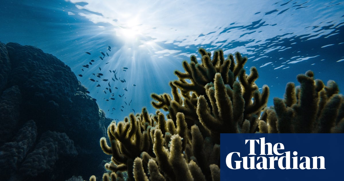澳大利亚被指控试图阻止可能将大堡礁列入危险名单的联合国教科文组织程序