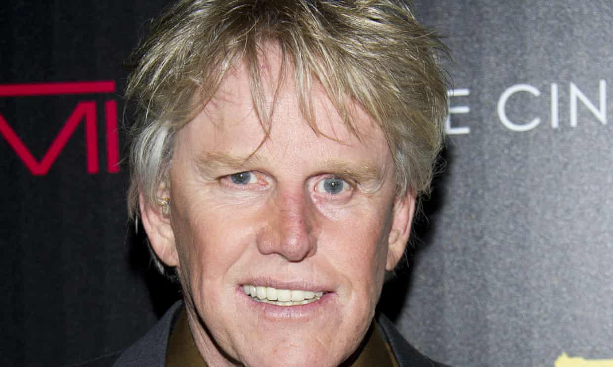 Gary Busey charged with sexual offenses at New Jersey convention (theguardian.com)
