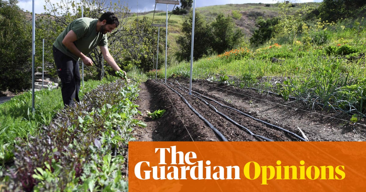Coronavirus is threatening US farms' survival. But you can make a difference | Adrienne Matei | Opinion | The Guardian