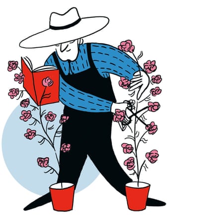 Illustration of person in hat pruning roses that are holding the book they are reading