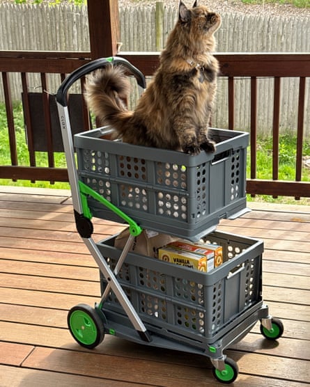 A photo of a Clax Cart