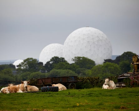 Three golfball-shaped radomes against sky with cattle, grass and trees in foreground