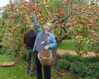 National Trust reports bumper apple and pumpkin crops at its sites