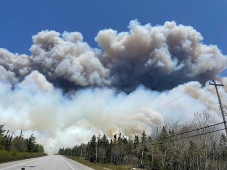 Smoke billows in a blue sky above a road through woodland