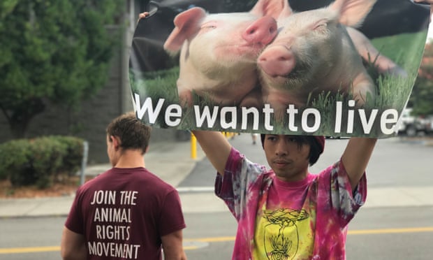 Vegan activists force California butcher to hang animal rights sign in  window | Animal welfare | The Guardian