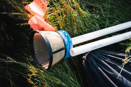 An “ark”, ready to be used in an attempt to save a saltmarsh sparrow nest