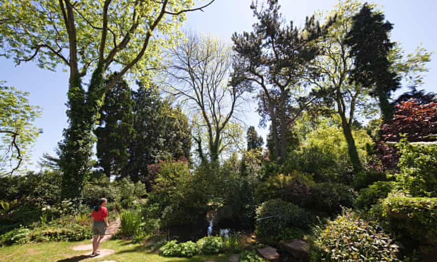 The gardens at Dewstow, Wales UK.