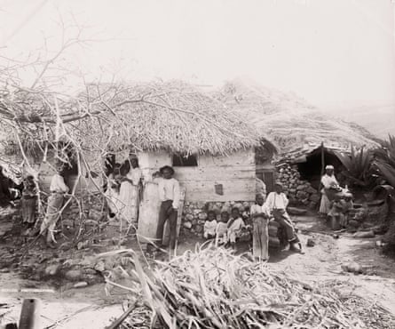 Black and white photo of people standing next to a pile of collected sugar cane
