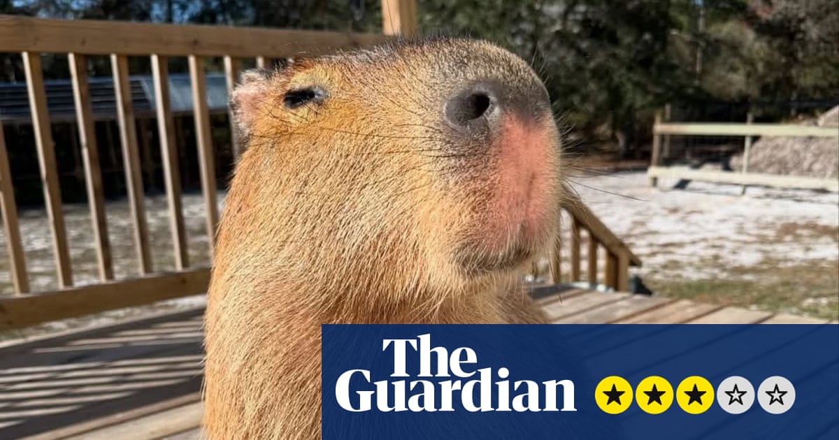 Ανασκόπηση The Route to Cappyness – το capybara boosterism είναι μια ωδή στο αγαπημένο τρωκτικό του Διαδικτύου