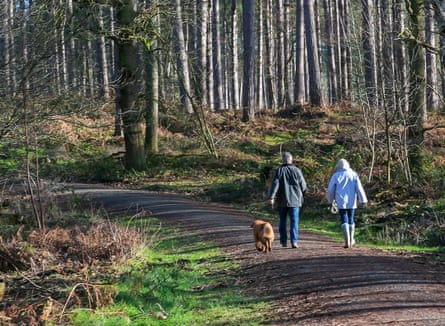 A couple walking their dog in a forest