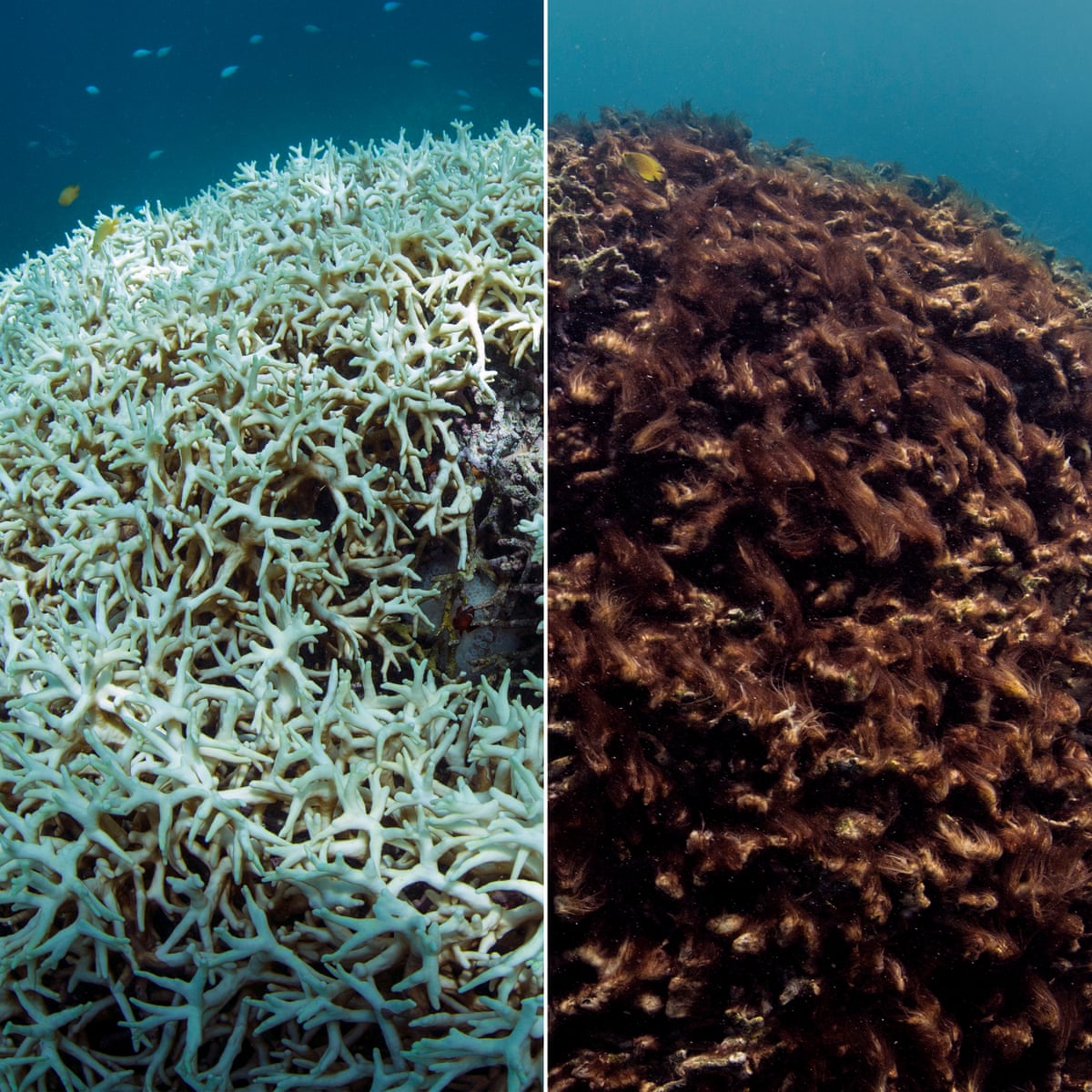 Scientists Study Ocean Absorption Of Human Carbon Pollution