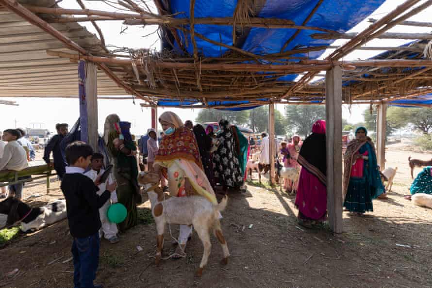 People trade goats at a livestock market in Pakistan