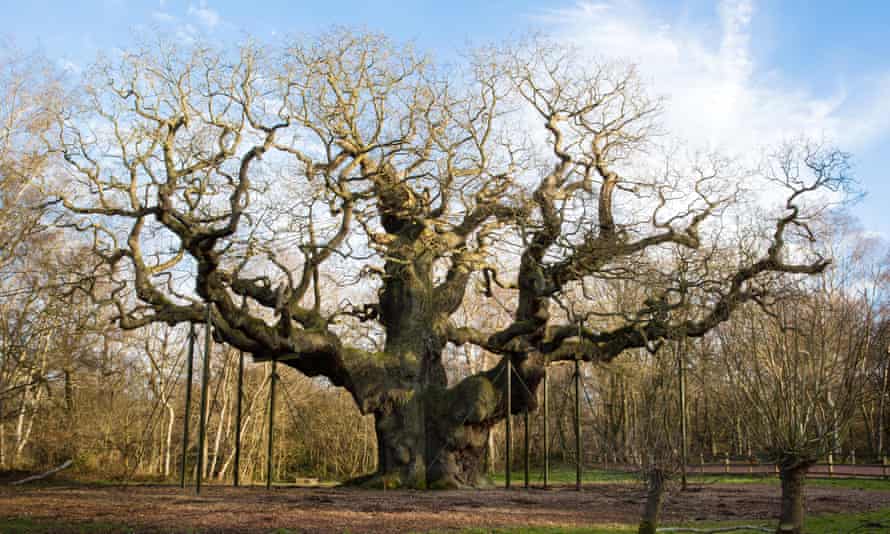 Sherwood Forest, Nottinghamshire, has associations with the Robin Hood legend.
