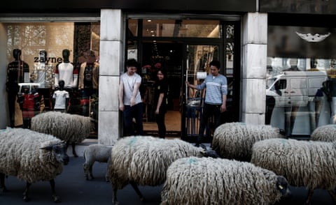 Sheep pass a shoe store in Paris