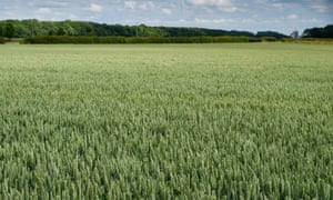 The view of Ketton Quarries from afar