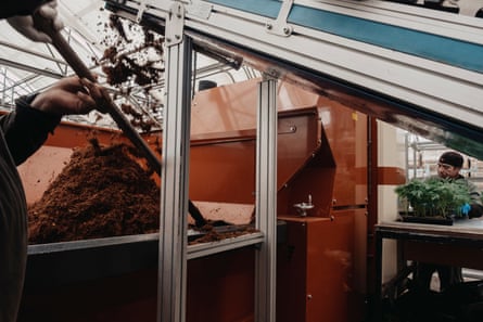 Baby marijuana plants are potted by an automated potting machine and workers at Ever-Bloom, one of many cannabis farms in Carpinteria.