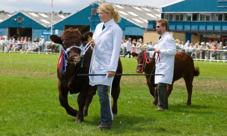 Dexter cattle are shown in Warwickshire.