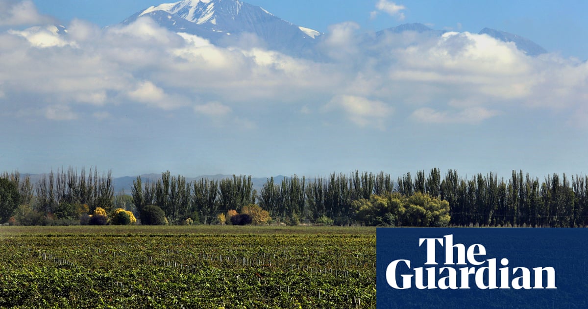 Argentina: thousands protest in Mendoza wine region over axed water protections - The Guardian