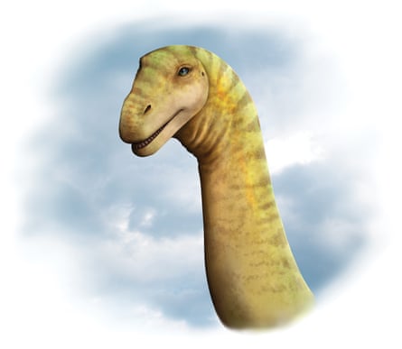 An artist’s visualisation of the head of a Diamantinasaurus matildae