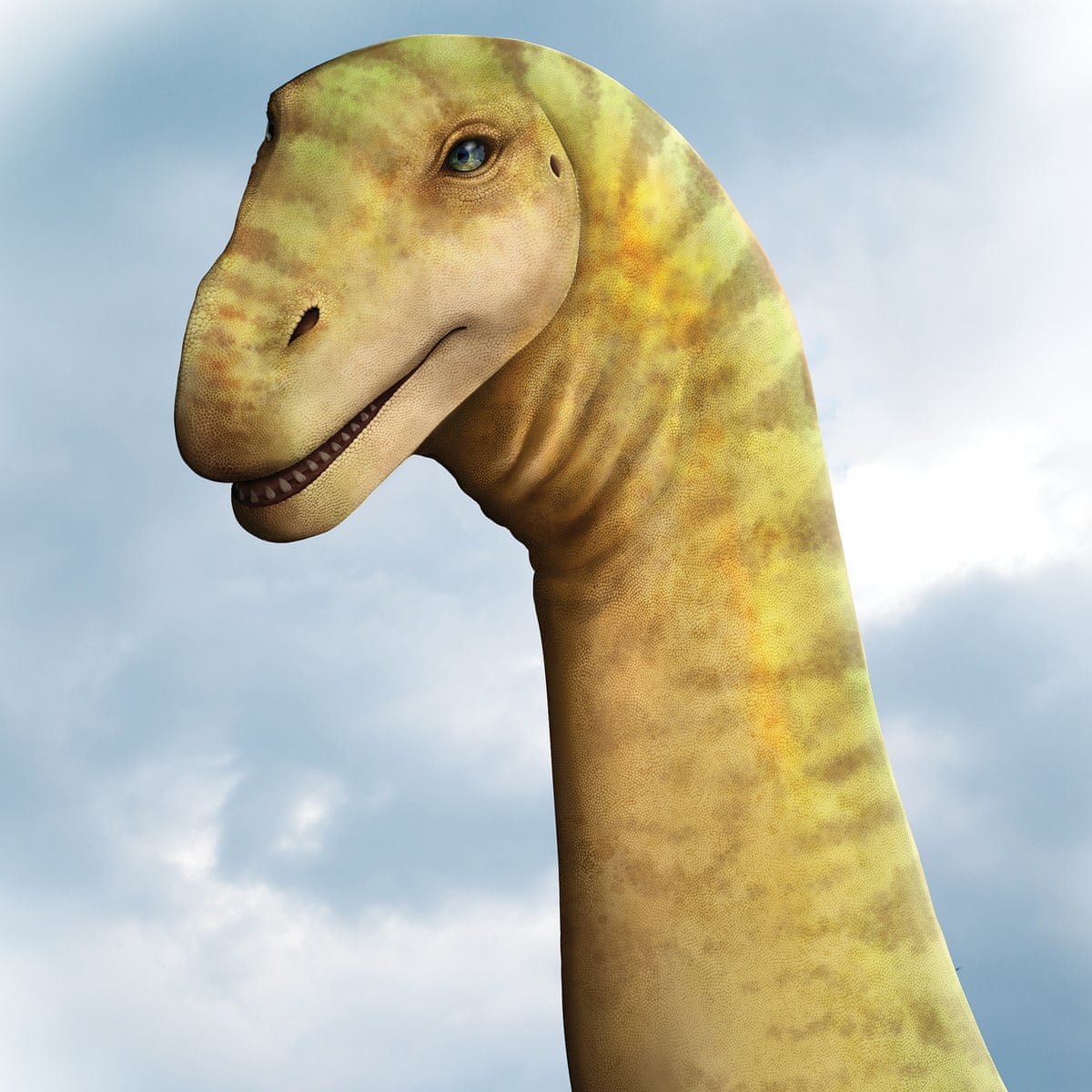 Dinosaur skull found in Queensland belonged to sauropod that ...