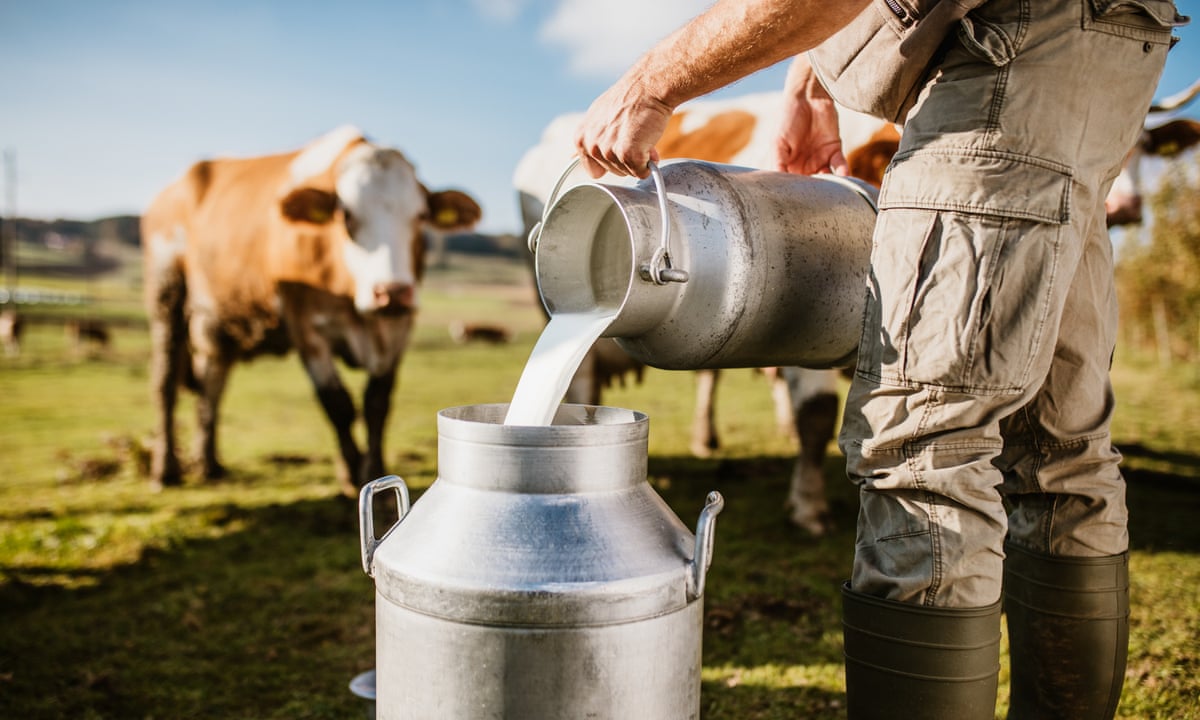 How much does a pint of milk cost? Not enough | Nell Frizzell | The Guardian