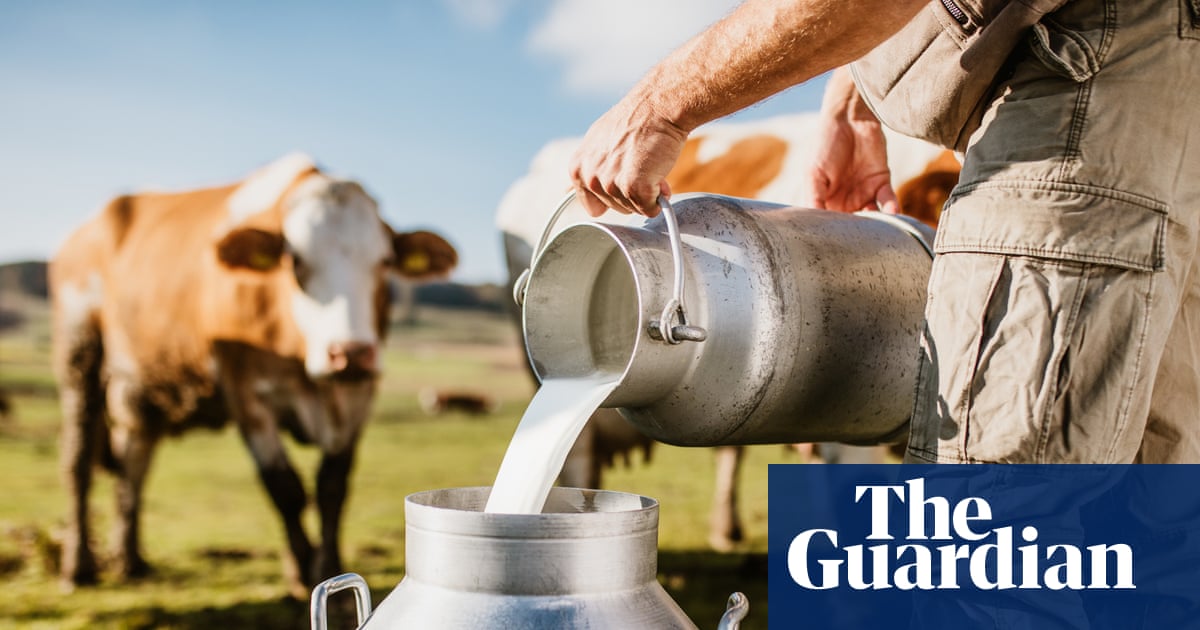 Making a splash: demand for raw and brewed' milk growing in UK