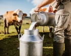 Making a splash: demand for raw and ‘brewed’ milk growing in UK Making a splash: demand for raw and ‘brewed’ milk growing in UK