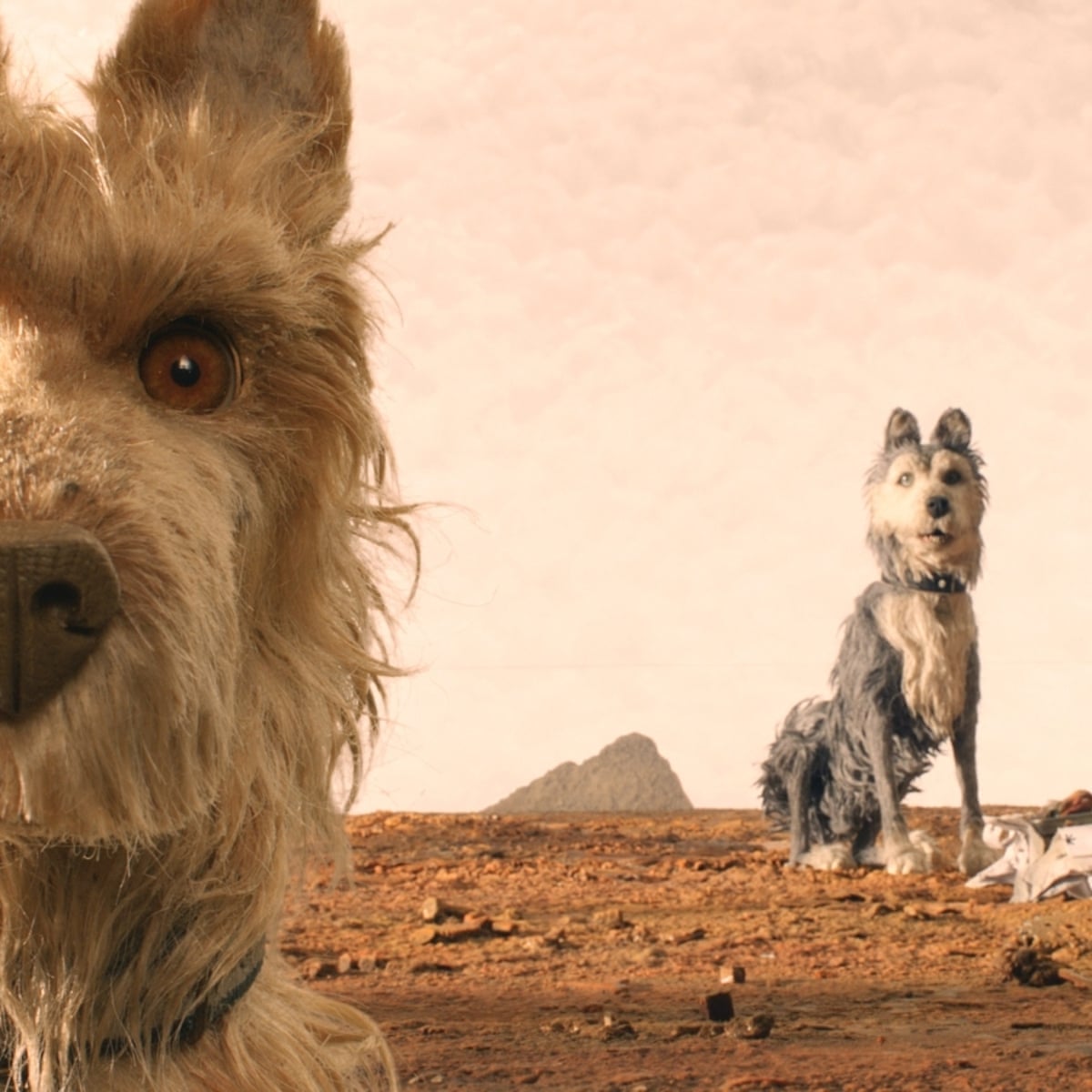 Isle Of Dogs Review Wes Anderson S Scintillating Stop Motion Has Bite Berlin Film Festival 2018 The Guardian