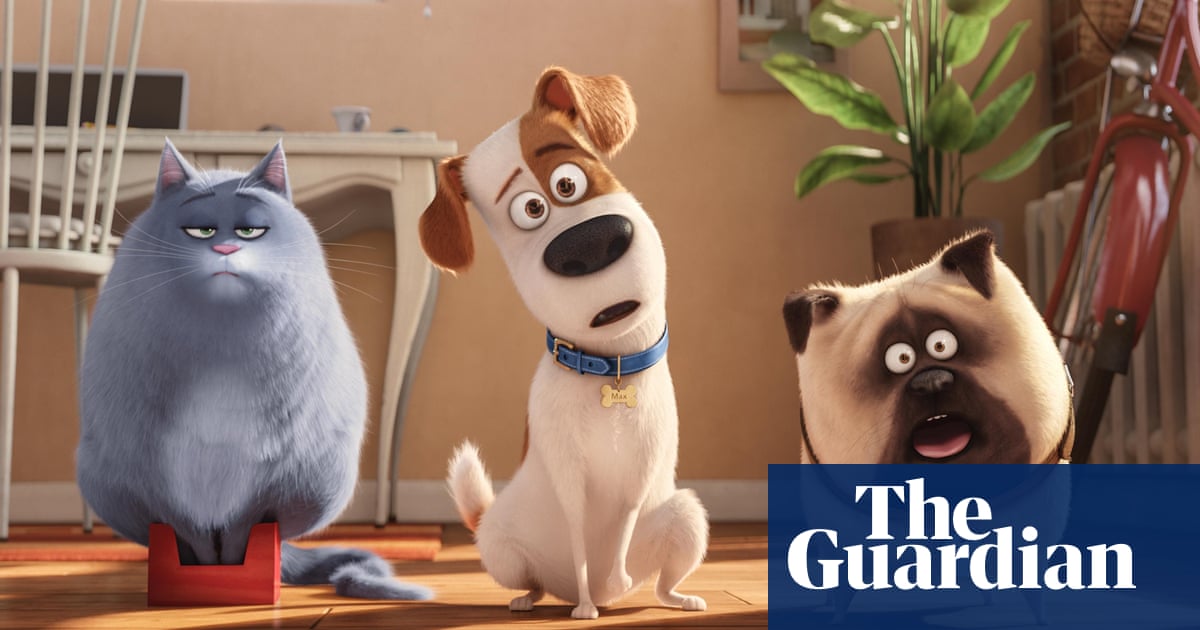 The Secret Life of Pets? Forget the movie, here's what it's really like |  The Secret Life of Pets | The Guardian
