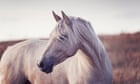 featured-image