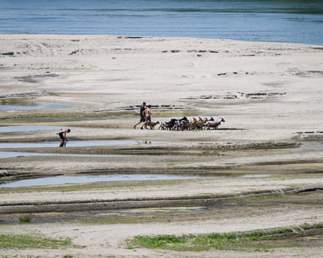 Local kids and goats walk on the dried-out riverbed of Danube in Rasova village, Romania.