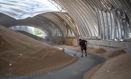 Ukrainians salvage barley and peas after five Russian missiles struck a grain storage facility in Pavlivka, Odesa region.