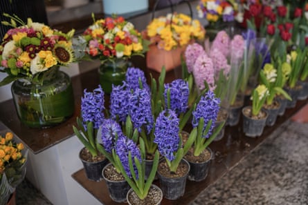 Caucasus among other flowers