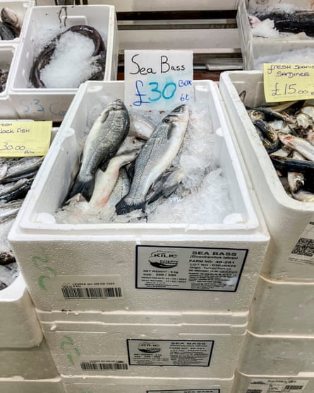 Piled-up crates of fish packed in ice